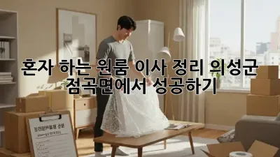 혼자 하는 원룸 이사 정리, 의성군 점곡면에서 성공하기