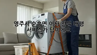 영주시 순흥면 이사, 전문 대행 서비스가 답이에요!