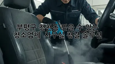 부평구 청천동 믿을 수 있는 청소업체 ✨ 사무실 청결 솔루션